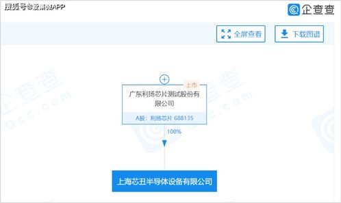 利揚芯片戰略布局再升級 上海與海南全資子公司拓展信息系統集成服務