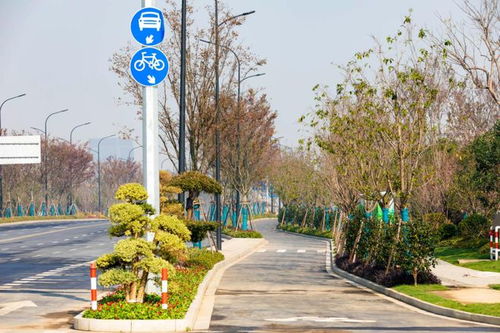 經開區八項園林綠化工程榮獲“南湖杯”優質工程獎