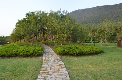 江蘇大陽山國家森林公園植物園二期景觀綠化工程二標段 打造生態與美學的和諧畫卷